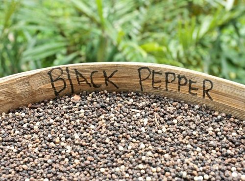 Black Pepper