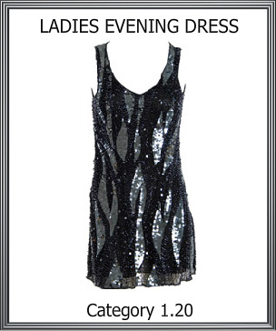 Ladies Evening Dress