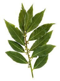 bay leaves