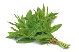 Mint - Green Bundle, 50-200g | Fresh Flavor, Aromatic Culinary Herb, Versatile, Natural