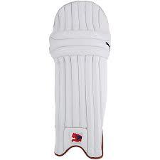 Cricket Batting Pad