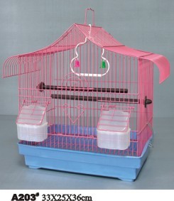 Birds Cages
