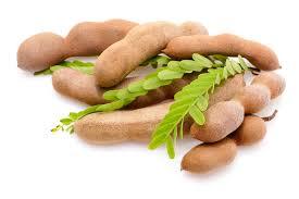 Fresh Tamarind
