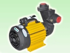 Monoblock Pump Motor