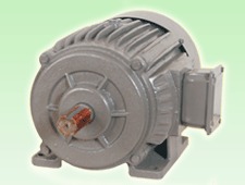 Submersible Pump Motor