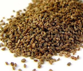 Celery seeds