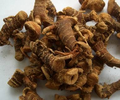 Galangal