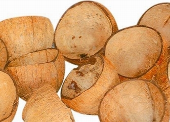 Coconut Shell