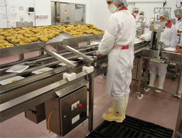 Food Processing Consultants