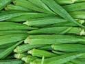 Okra Hybrid Seeds