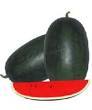 Watermelon Hybrid Seeds