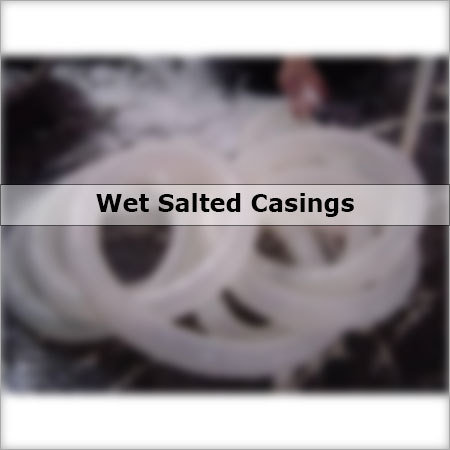Wet Salted Casings