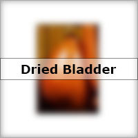 Dried Bladder