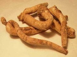 American Ginseng