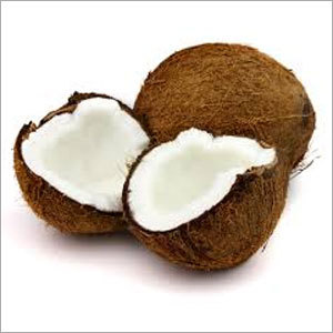 Coconut