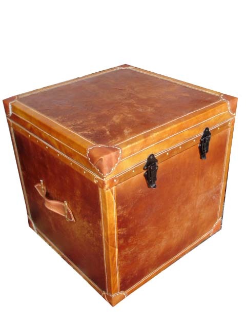 Leather Trunks
