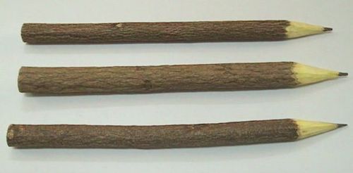Neem pens and pencils 
