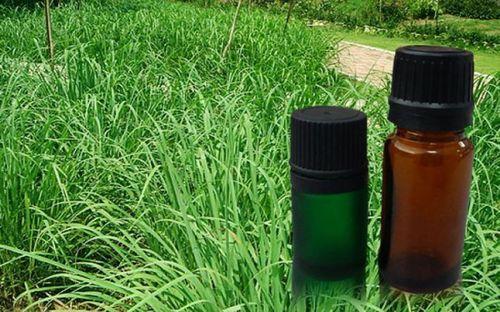 Citronella Essential Oil