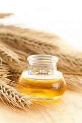 Wheat Germ Oil