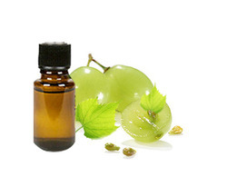 Grape Seed Oil By Herbo Nutra Extract Private Limited