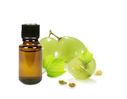 Grape Seed Oil