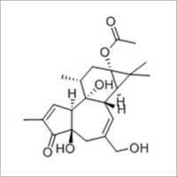Prostratin Chemical