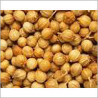 Coriander Seeds