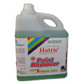 Paint Remover