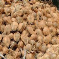 Coconut