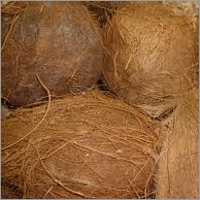 Coconut