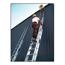 Multi Fold Ladder