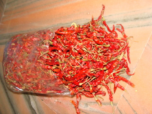 teja medeam