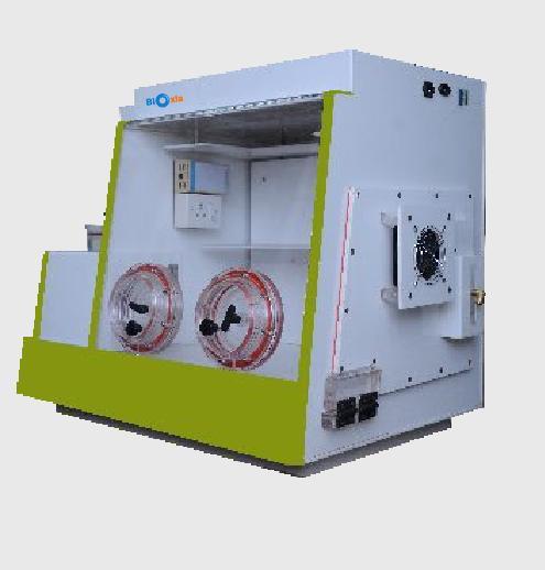 Hypoxic Workstation 300