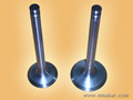 Engine valve