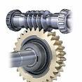 Automotive Worm Gear