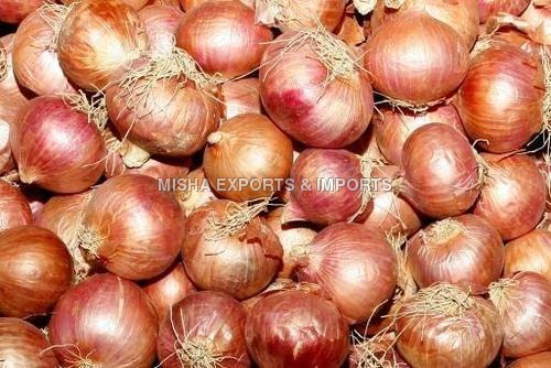 onion