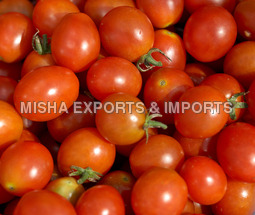 Fresh Red Tomato