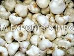 Organic Garlic