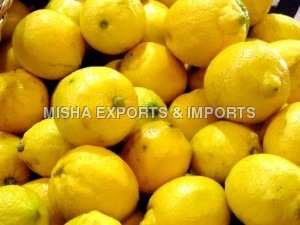 Fresh Yellow Lemon