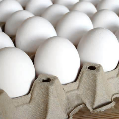 Poultry Eggs