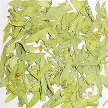 Senna Leaves