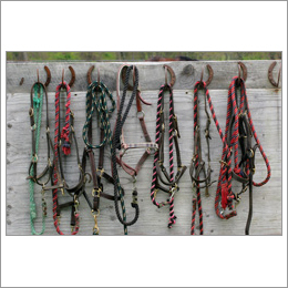Braided Lead Ropes