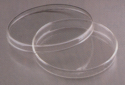 PETRI DISH (DISPOSABLE) - Polystyrene 90mm Diameter Transparent, Sterile, Disposable, Stackable, Gamma Irradiated