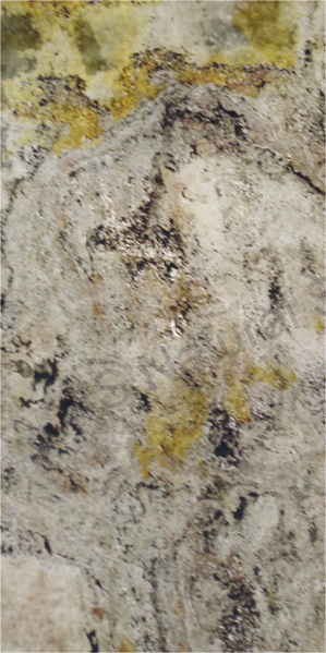 Autumn Rustic