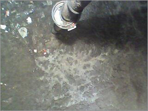 Commercial Water Tank Cleaning Services