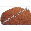Spray Dried Instant Chicory Powder