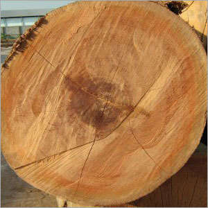 Keruing Wood Logs