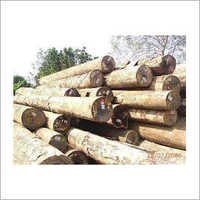 Merbau Wood Logs