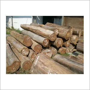 Mersawa Wood Logs