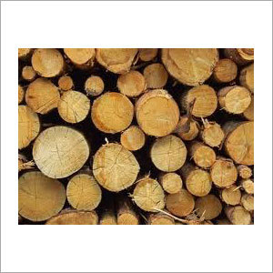 Hardwood Logs